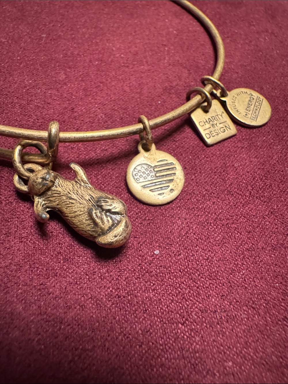 Alex and Ani Gold-Tone Charity By Design Charm Bangle